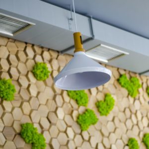 Вентиляция «Прянощі»